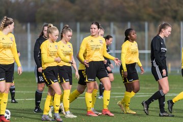 Bild 147 - F FSC Kaltenkirchen - SV Frisia 03 Risum-Lindholm : Ergebnis: 0:7